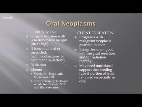 Comparative Anatomy: Diseases of the Oral Cavity