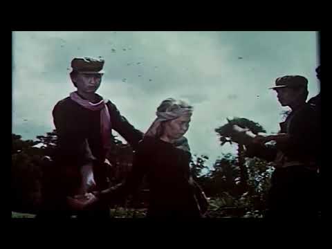 Vietnamese Liberation of Cambodia 1979   Last day of Pol Pot regime
