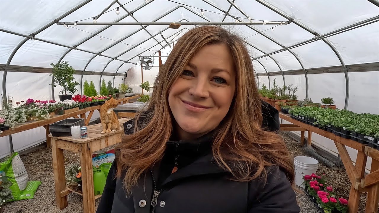 Dahlias: Taking Them Out of Storage + Pre-Sprouting! 🌸🌸🌸 // Garden Answer