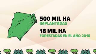https://www.youtube.com/embed/45vtJeZLSIE
