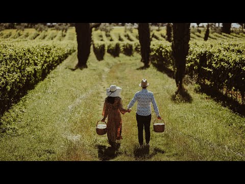 Pratello winery - Lake Garda