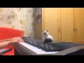 Скрябін - Кольорова (piano) 