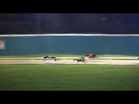 2017 RPGTV HENLOW DERBY - HEAT 5 - T6 BROCATSEA HOOPS