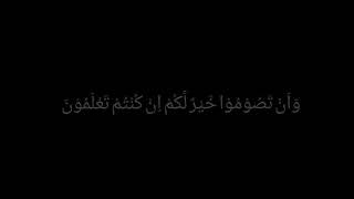 Download lagu Masya allah qori nasional lili rahmah😊 mp3