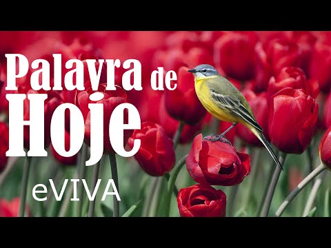 WORD OF THE DAY JULY 23, 2022 | MOTIVATION AND REFLECTION GOOD MORNING MESSAGE AND MORNING PRAYER...