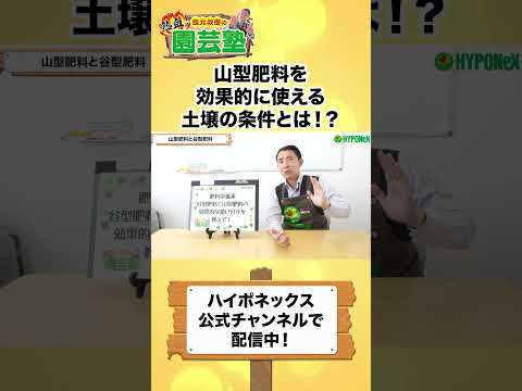 園芸 アジアンテイストの菜園