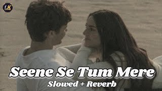 Download lagu Seene se tum mere aake lag jao na (slowed reverb) Arijit singh song Chal waha jaate hain lofi mix mp3