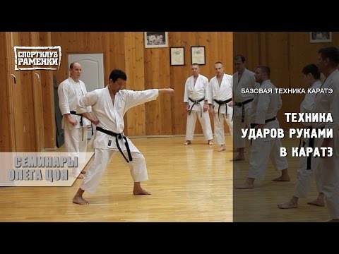 Каратэ Шотокан. Уроки Олега Цоя. Базовая техника ударов руками в каратэ