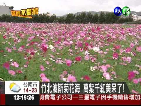 過年到哪不會擠? 華視帶你玩透透