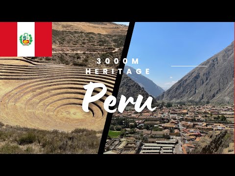 メッセージが配信されました