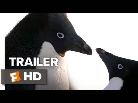 Penguins Trailer #1 (2019) | Movieclips Indie