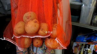 実家で 美味しい 肉じゃがを作りました！