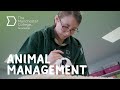 Animal Management Student Interview The Manchester College
