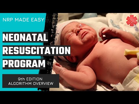 Neonatal Resuscitation Program (NRP) Algorithm (9th Edition)
