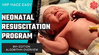 Neonatal Resuscitation Program (NRP) Algorithm (9th Edition)