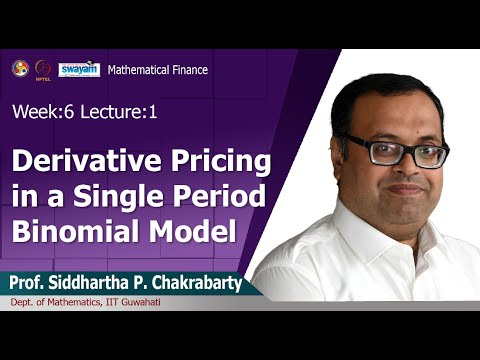 Mathematical Finance Introduction Video