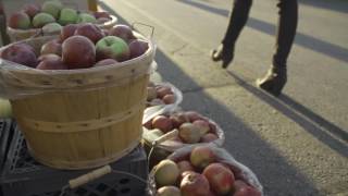 Downtown Traverse City  #LetsTakeAWalk