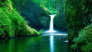Download lagu El Condor Pasa Flauta de Pan Quena Instrumental Relax Music mp3 Download lagu El Condor Pasa Flauta de Pan Quena Instrumental Relax Music mp3