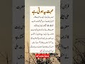 Mohabbat Ye Hoti Ha Hazrat Ali AurBibi Fatima Ki Mohabbat Farman E Mustafa SAW