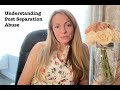 Understanding Post Separation Abuse