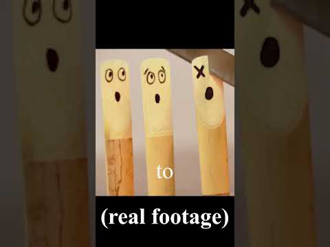 the best bass clarinet reeds aren't what you think...