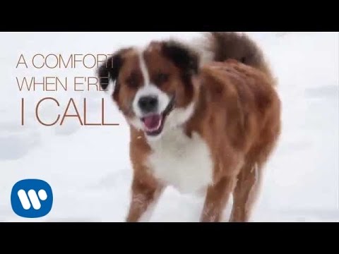 Ron Sexsmith - Saint Bernard (Official Lyric Video)