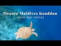 Mecure Maldives Kooddoo House Reef Turtle Compilation