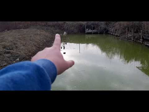 Prezentare balta de acasa