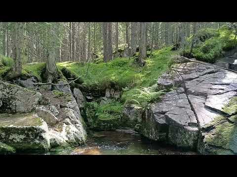 A Glimpse into the Wonders of the Retezat Mountains, Romania. Ep-1