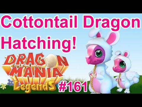 Cottontail Dragon Hatching + Clan Quests! - Dragon Mania Legends #161