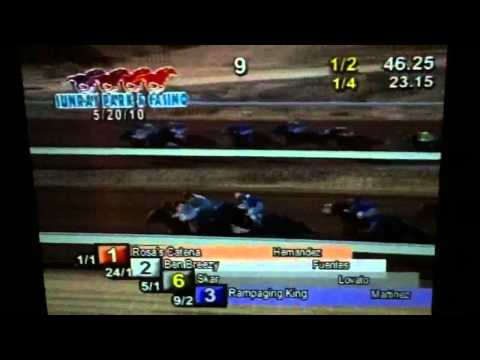 Rampaging King; Sun Ray Park, NM