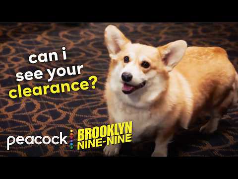 Cheddar's best moments but with subtitles | Brooklyn Nine-Nine