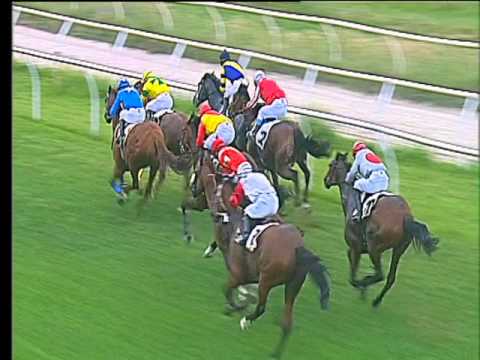 Galoppo 11/05/2017 - 5ª corsa