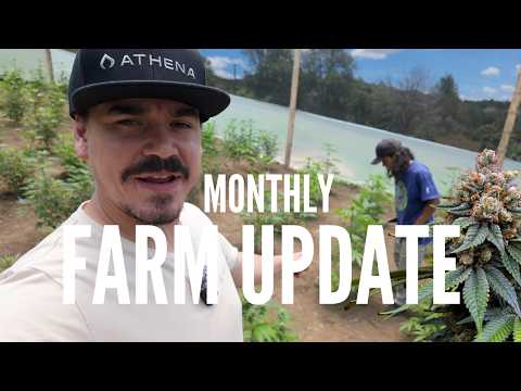 I Spent 30 Days with 99 Plants in 1 Greenhouse Here's What Happened