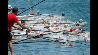 LEN Open water swimming cup - Barcelona