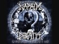 napalm death fatalist.wmv