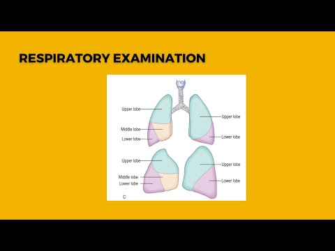 Clinical examination series : Respiratory examination