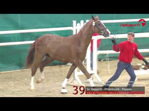 39  Sir Heinrich -  Ehrentusch - Popper