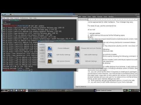 Antix 13 and Netflix