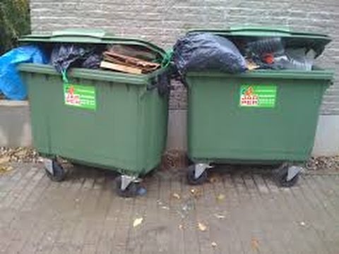 Tiger Bonzo znowu grzebie w śmietniku |MOCNE|