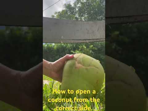 How to open a coconut in 43 seconds from the correct side/end part 1