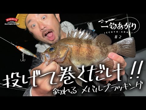 《 一釣あがり vol.2 》投げて巻くだけ！釣れるメバルプラッギング！