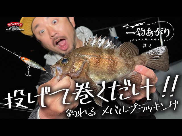 バロンドール | ソルトルアーブランド【MAGBITE】 バロンドール | ソルトルアーブランド【MAGBITE】