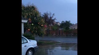 At long last... Rain in Southern California!!!