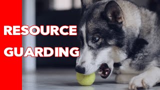 Resource Guarding - How to FIX and PREVENT IT