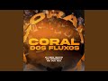CORAL DOS FLUXOS
