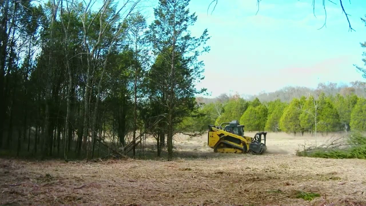 Forestry Mulching Time Lapse
