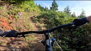 Ewok Village - Galbraith Mountain - Bellingham - Washington