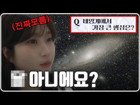 아이콘
