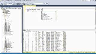 SQL Server 2022 - Consulta básica SELECT FROM 